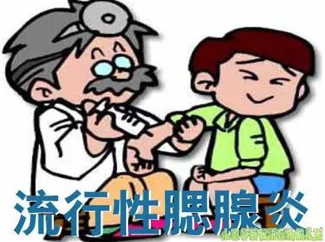 【听力科普】流行性腮腺炎或可导致永久性听力损失(图4) 【听力科普】流行性腮腺炎或可导致永久性听力损失(图4)