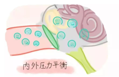 【听力科普】从零开始的日常听力保健(内耳篇下)(图3) 【听力科普】从零开始的日常听力保健(内耳篇下)(图3)